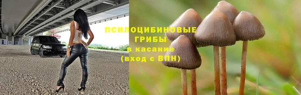 mix Алексин