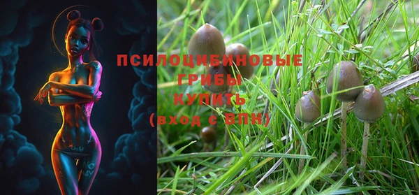 mix Алексин