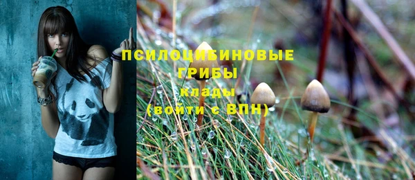 Альфа ПВП Алзамай