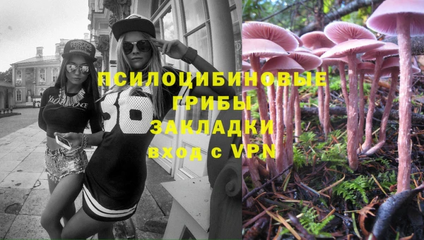Альфа ПВП Алзамай
